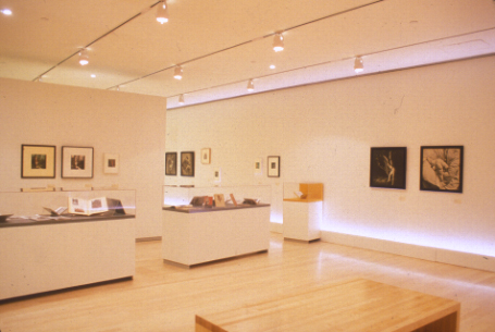 click to see larger view